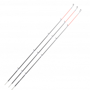 Maximus Bastion